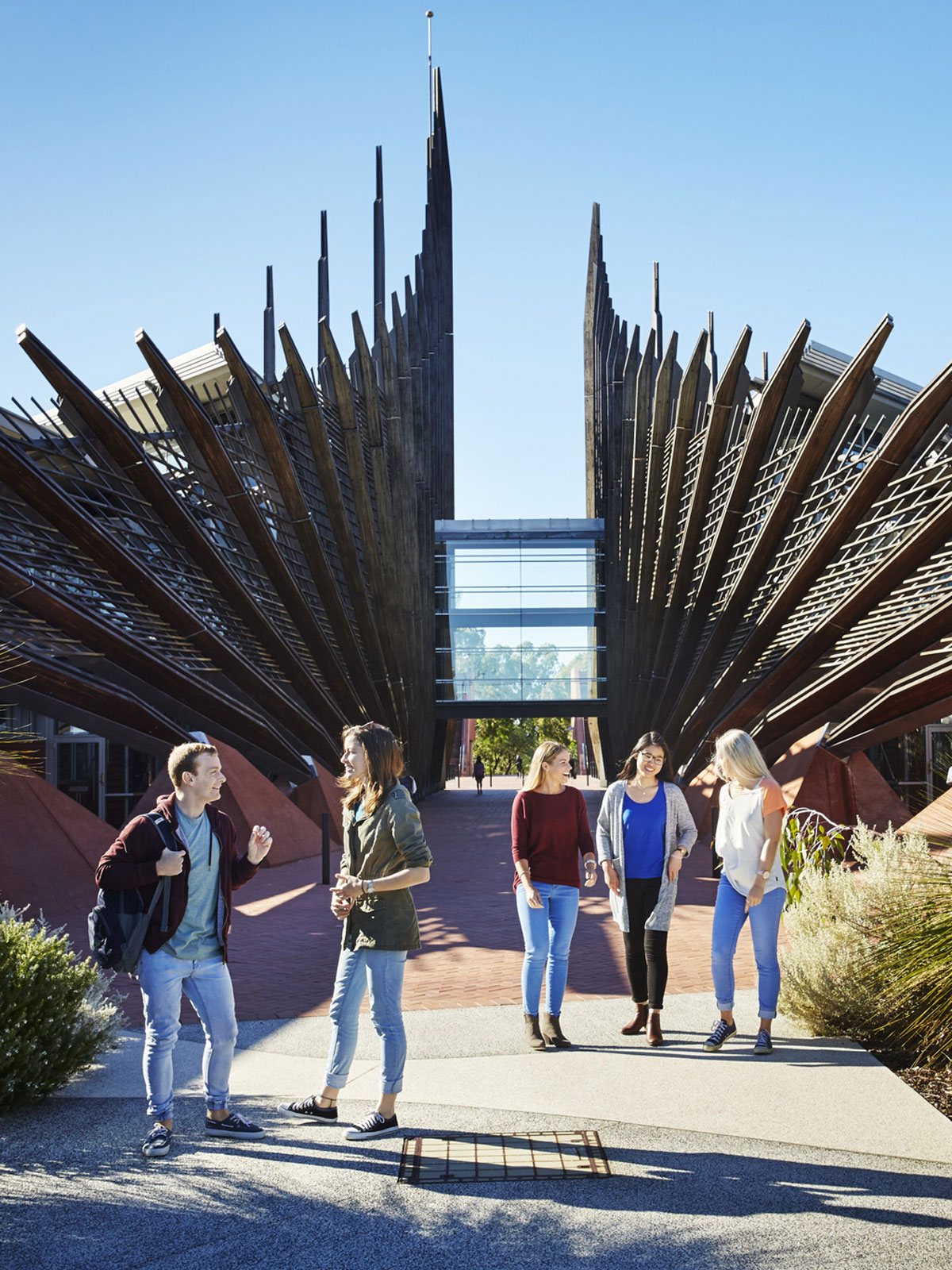 Colleges and universities in Australia provide quality education along with opportunities for career growth. 