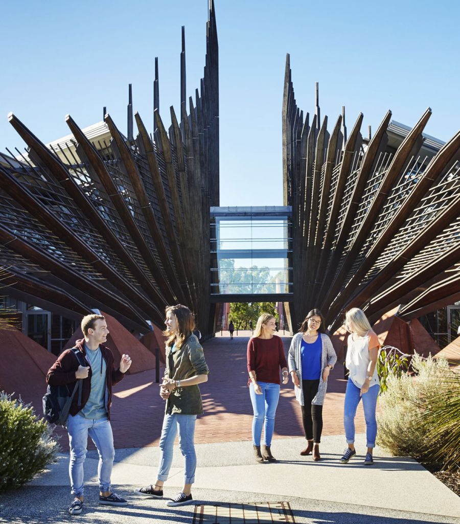 Colleges and universities in Australia provide quality education along with opportunities for career growth. 